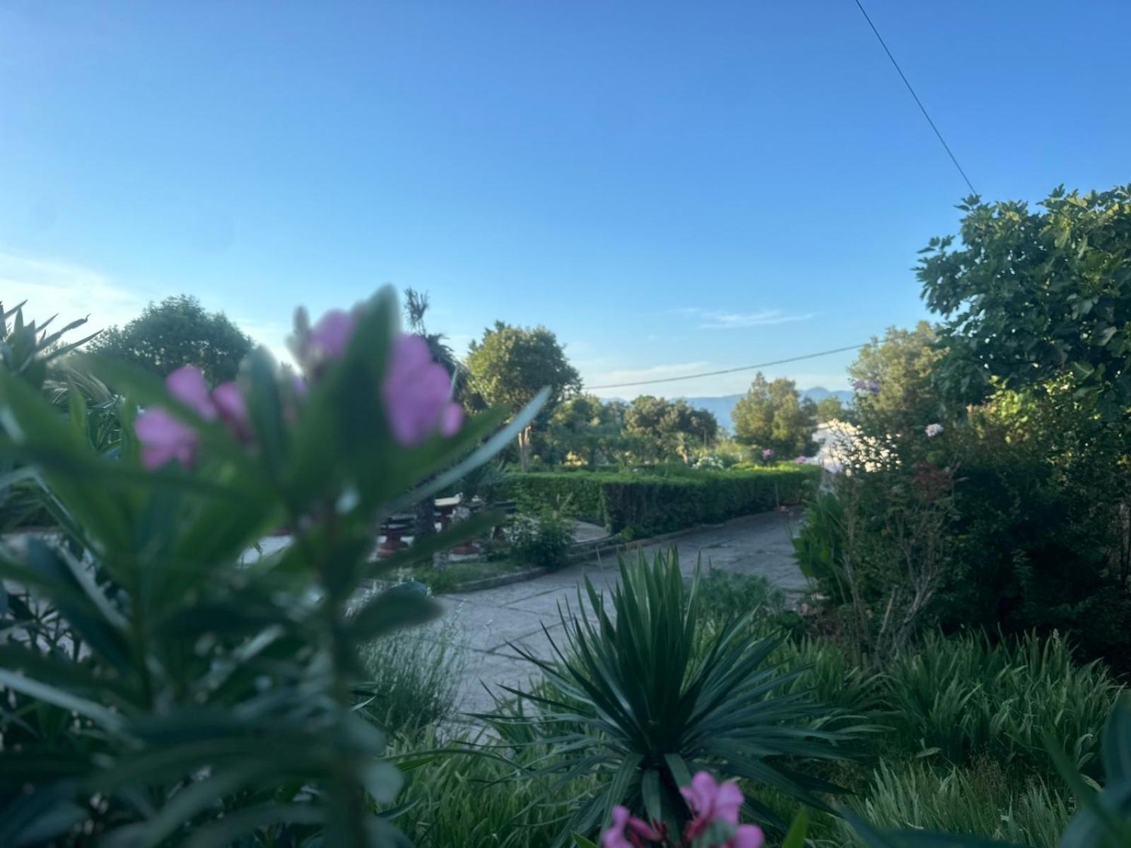 Apartman Kacic Sveti Ivan Dobrinjski Dış mekan fotoğraf